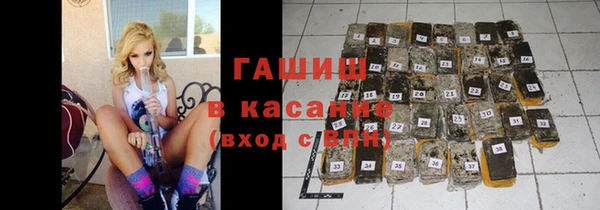 крисы Бородино