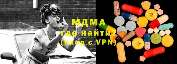 крисы Бородино