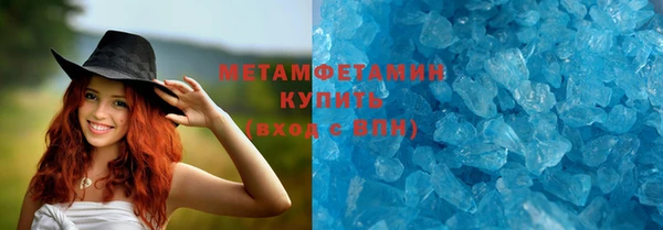 крисы Бородино