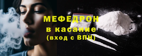 крисы Бородино