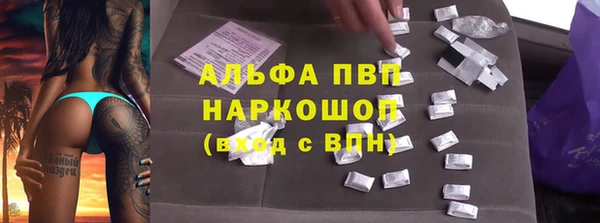прущие грибы Семёнов