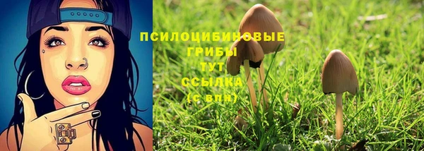 марки lsd Богданович