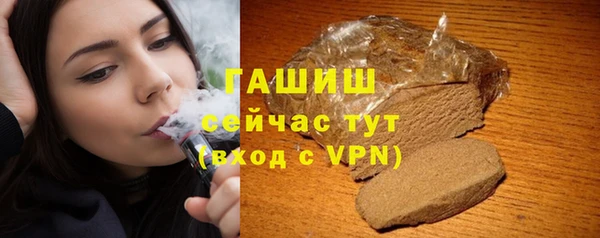 крисы Бородино