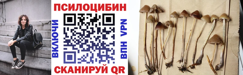 сколько стоит  Барыш  Галлюциногенные грибы ЛСД 
