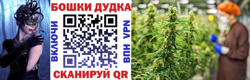 Конопля семена  закладки  Барыш 
